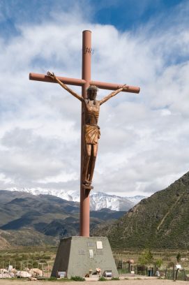 Manzano histórico - Crédito: Casa de Mendoza.