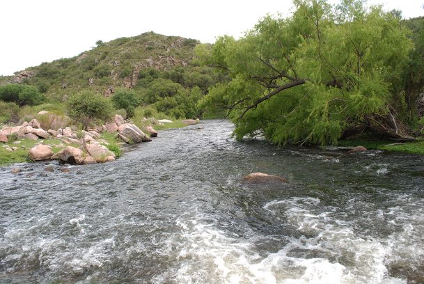 El Arroyo Benítez, un curso de agua al sur de Cortaderas